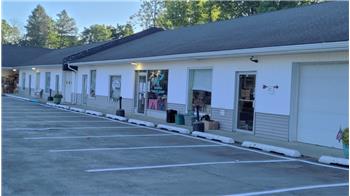 DCSPCA