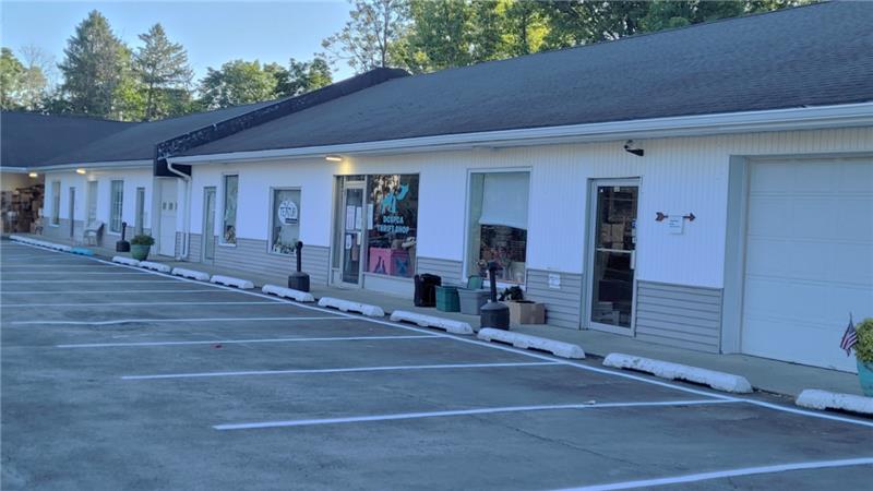 DCSPCA