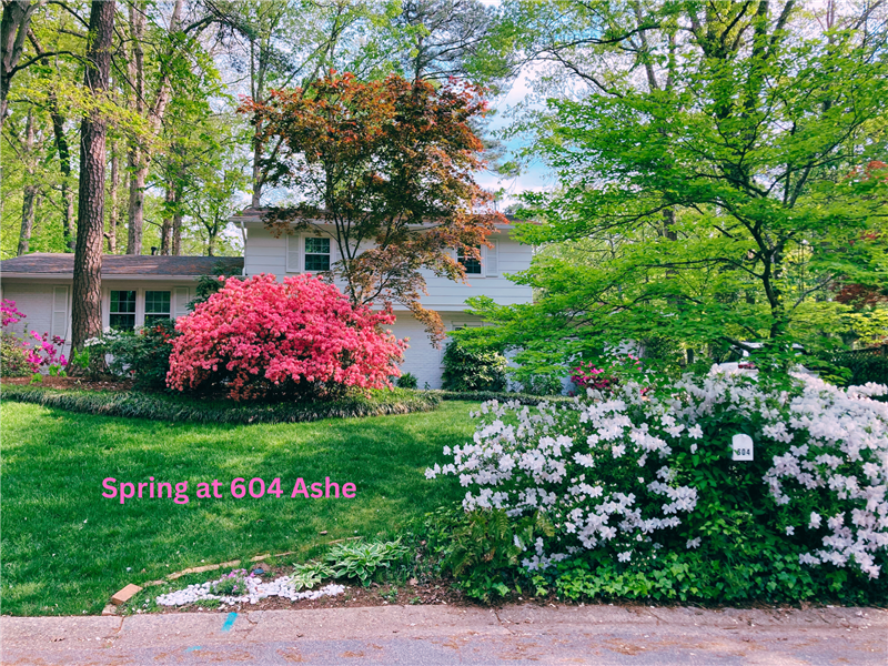 Spring at 604 Ashe Avenue