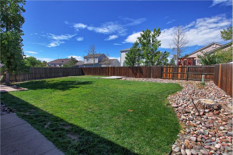 Large and level backyard