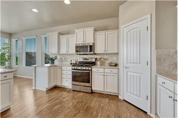 Kitchen pantry and view of the gas range oven and built-in microwave oven.
