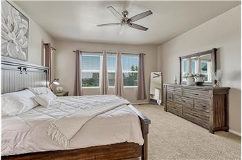 The Primary Bedroom includes neutral carpet, a lighted ceiling fan, and a wall of windows with drapes and rods that stay.