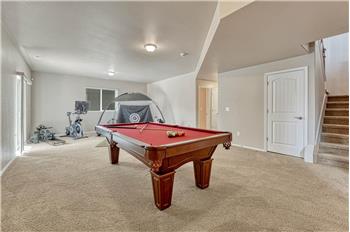Finished Family/Rec Room with hallway into the Basement Bedrooms.