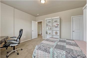 Basement Bedroom #5 offers a walk in closet.