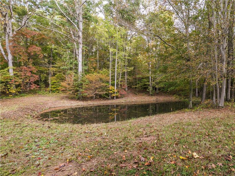 POND