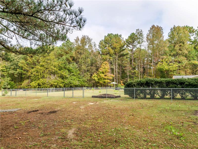 ROOM TO PASTURE HORSES OR GOATS!