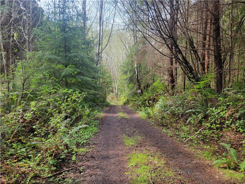 Driving in from 101 at entrance to this property. Trail to beach just ahead on the left!