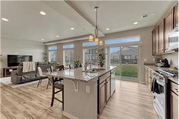The Kitchen has a slider door out to the backyard.