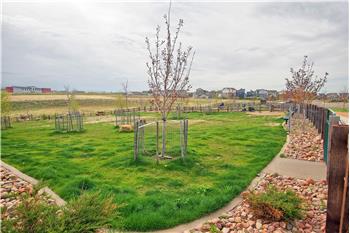 Community Park and Dog Run.