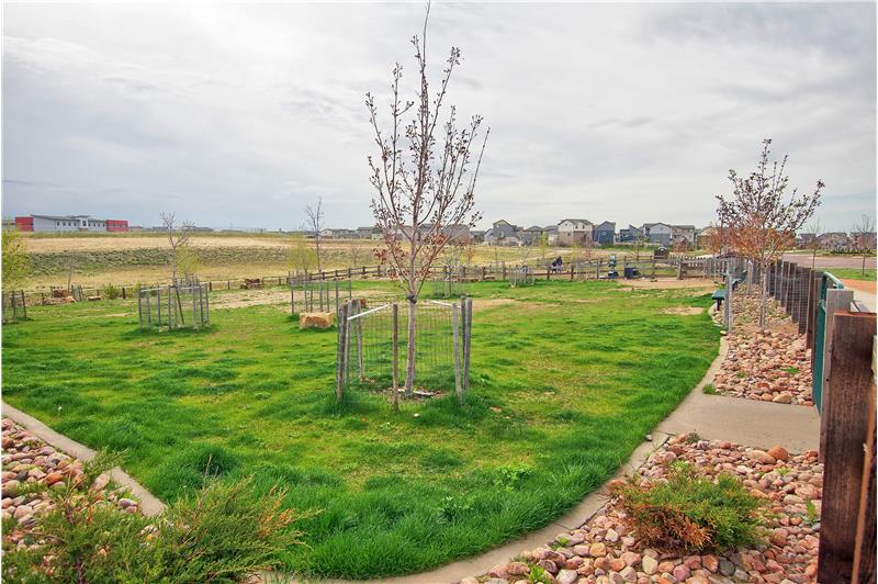 Community Park and Dog Run.