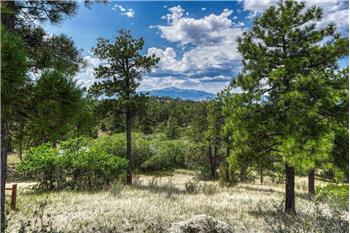 Beautiful Pikes Peak views through the trees.