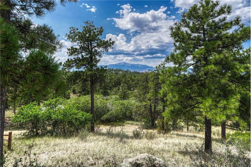 Beautiful Pikes Peak views through the trees.