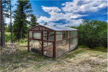 Greenhouse.