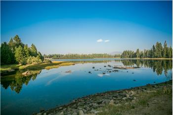 Primary listing photos for listing ID 533367