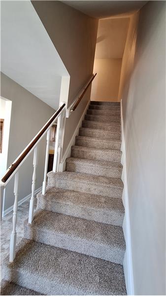 New carpet and paint