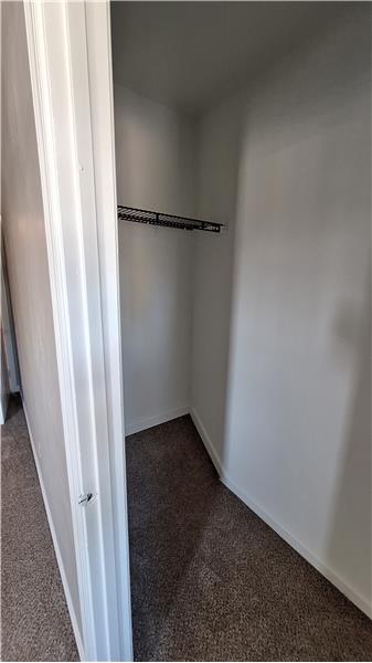 Two Closets in Master