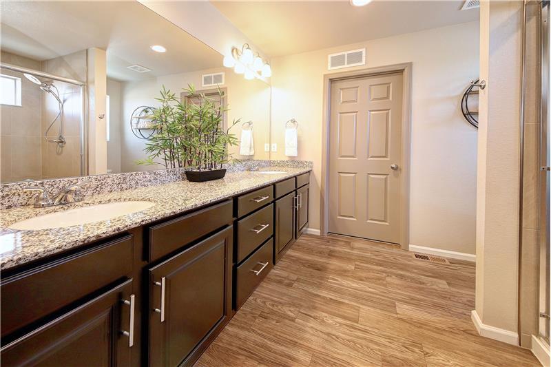Luxury Master Shower Bathroom