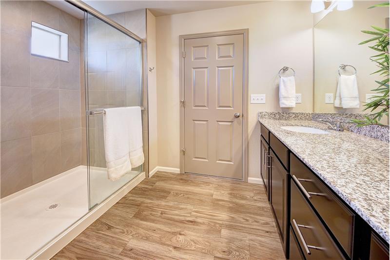 Luxury Master Shower Bathroom