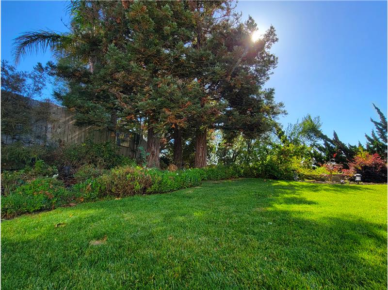 You will NOT find this w/new construction: Pine Trees, Redwood Trees, Japanese Maple Trees, Plumeria & extensive Rose Garden!