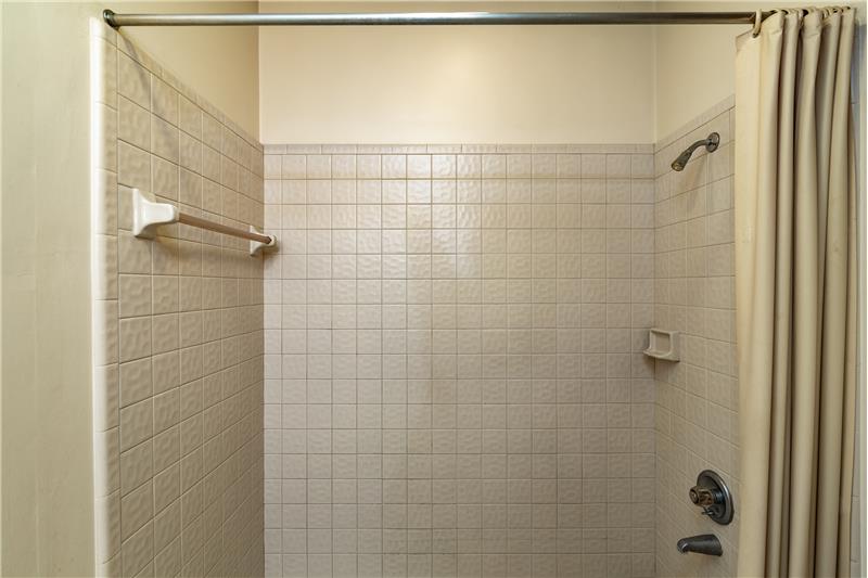 Owners Bath with Step Down Shower