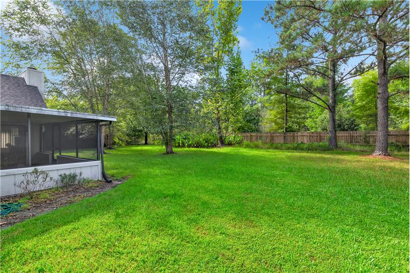 Back Yard