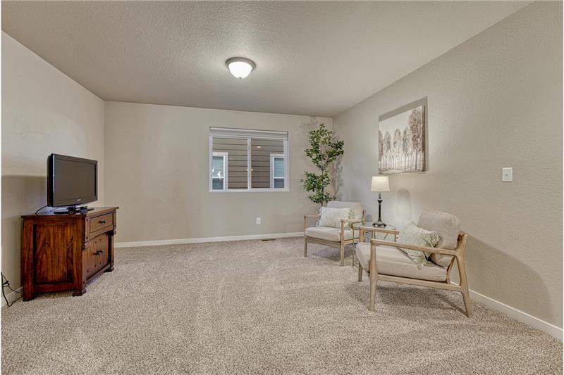 Upper Level Loft with neutral carpet.