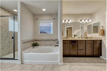 The Primary Bathroom offers a soaking tub and separate tiled shower.
