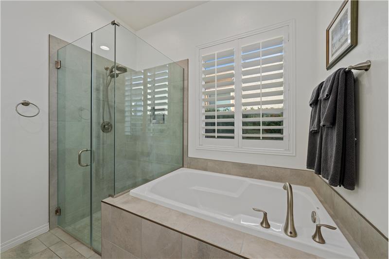 Shower and Soaking Tub