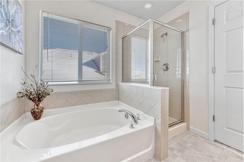 Soaking tub and stand-alone shower