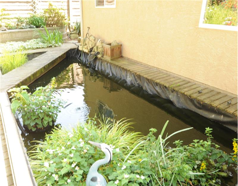 Fish Pond with double lining