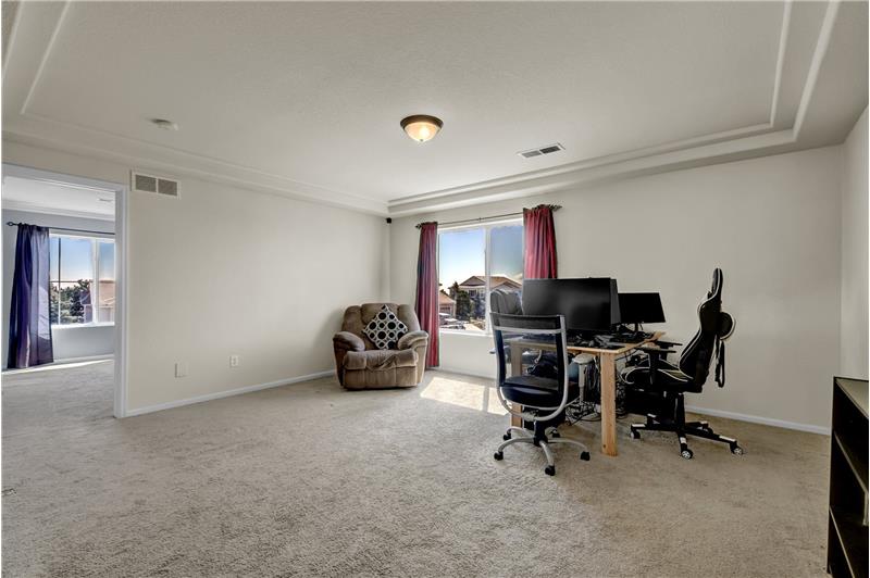 Upper Level Loft with tray ceiling and neutral carpet