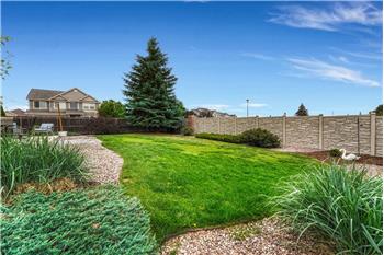 Beautifully landscaped backyard with backyard sprinkler system.