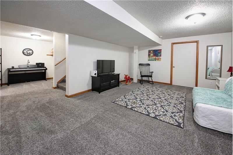 Large rec room with 2 year old carpet and thick pad