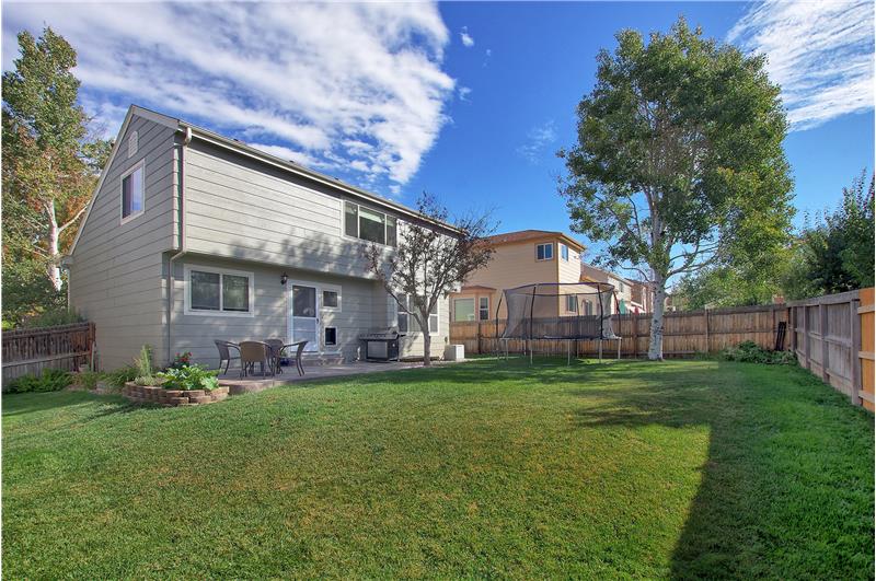 Backyard and rear view of home