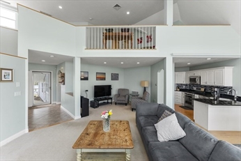 Level 1 Alternate View