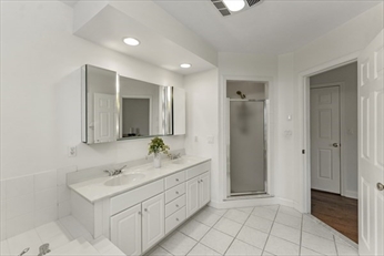 Main Bathroom Shower & Vanity