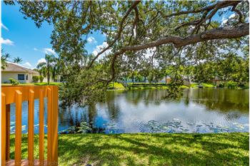 Primary listing photos for listing ID 545541