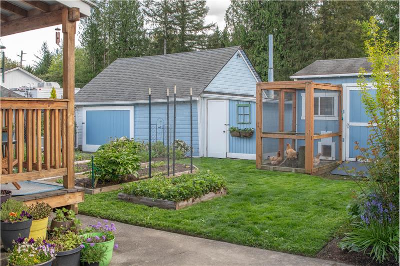 Looking to the backyard