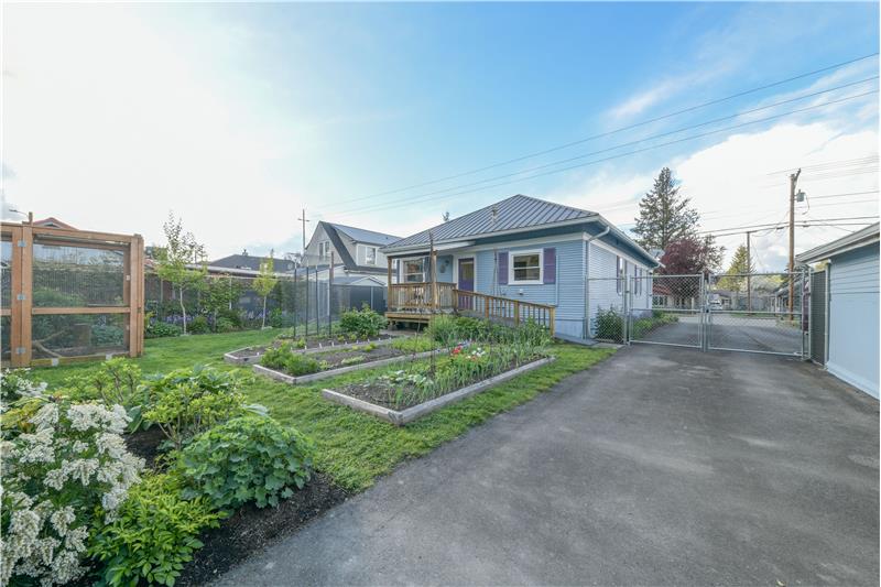 Backyard w/raised garden beds