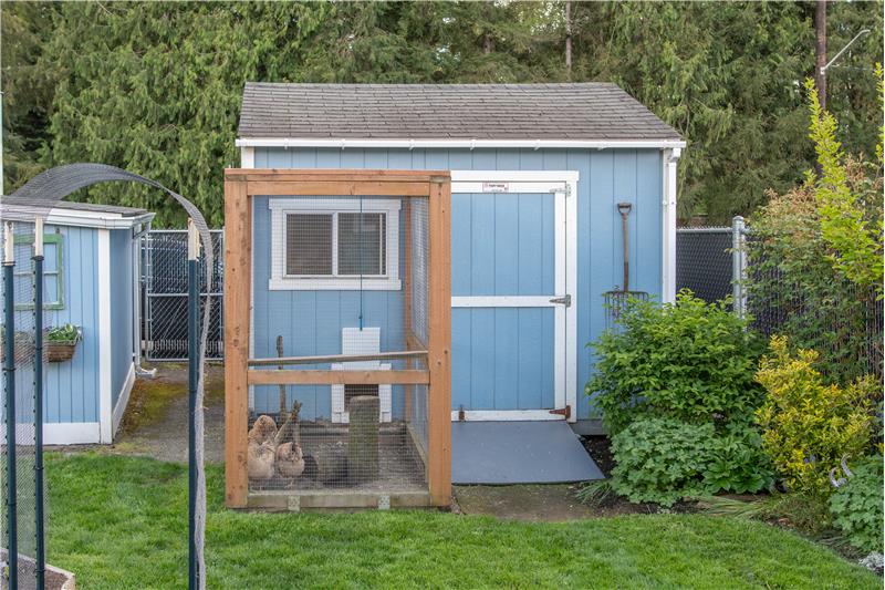 Chicken coop /Dog Run / ???