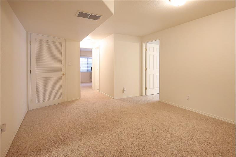Basement rec room/bonus space