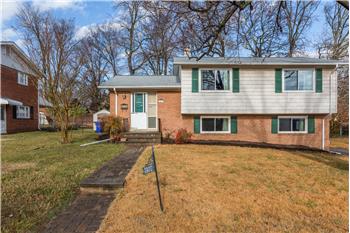 Primary listing photos for listing ID 559076