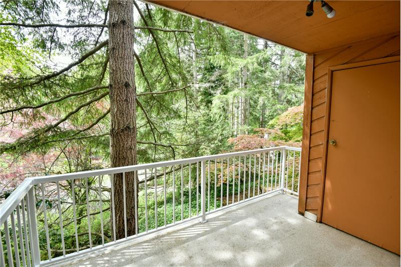 The natural vegetation of the yard offers privacy.  Also extra storage out here!  There is a LOT of storage in this home!