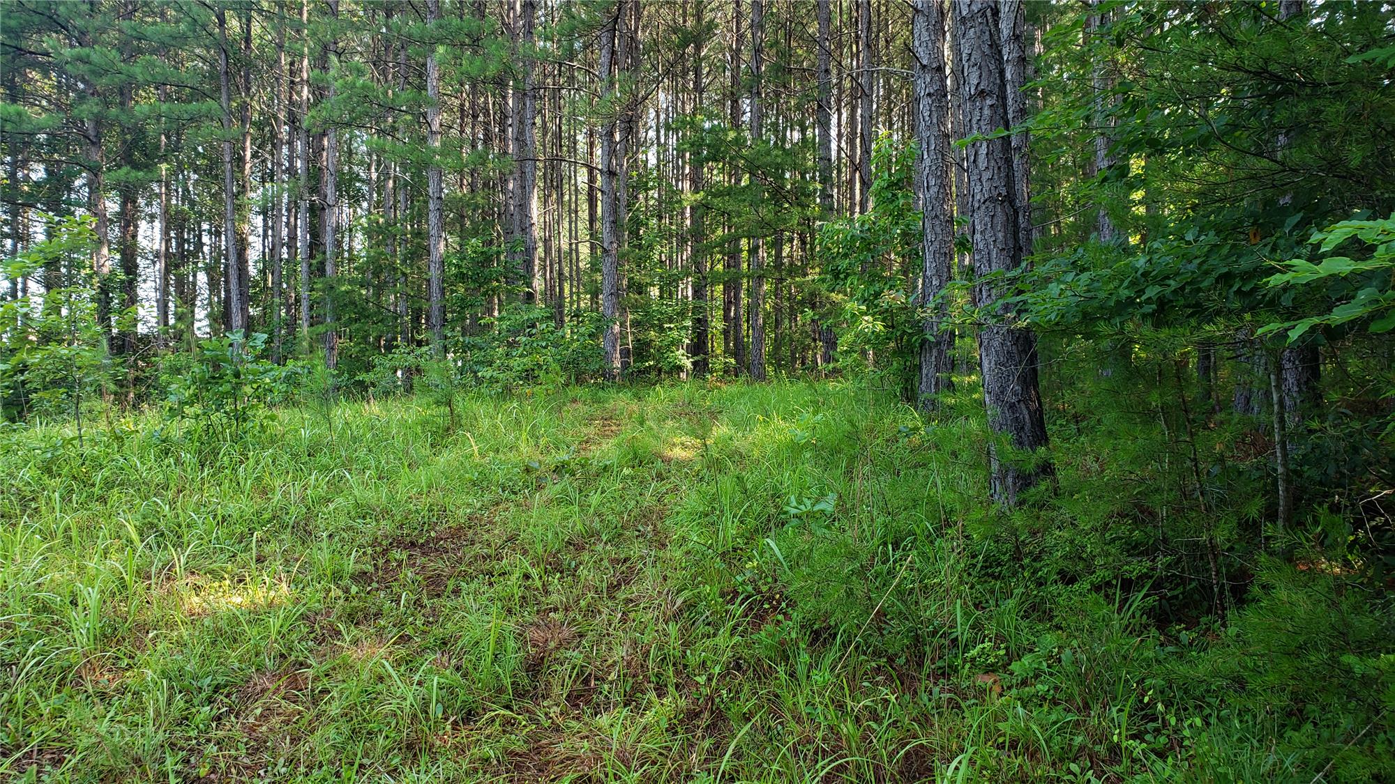 8 Destiny Ln, Mills Spring, NC 28756 MLS 3653311 By Rob Cassam