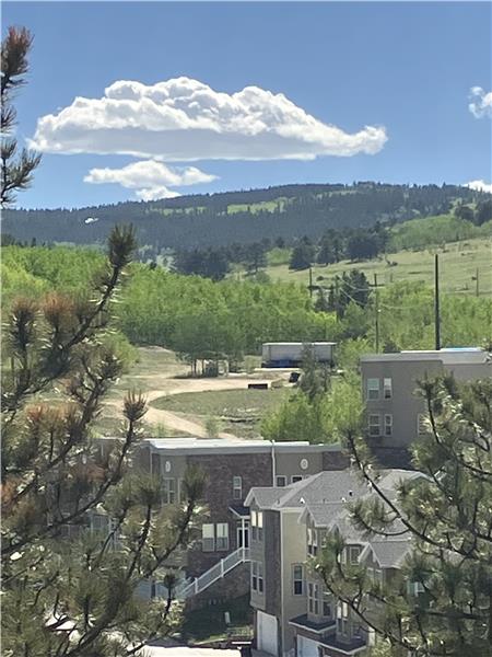 A Picturesque Scene from this Big Acreage Property on Eureka St. 