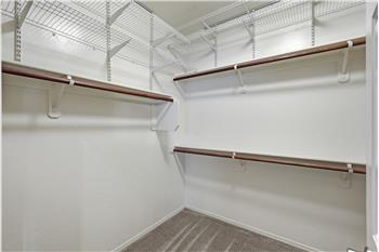 Ample Closet Space