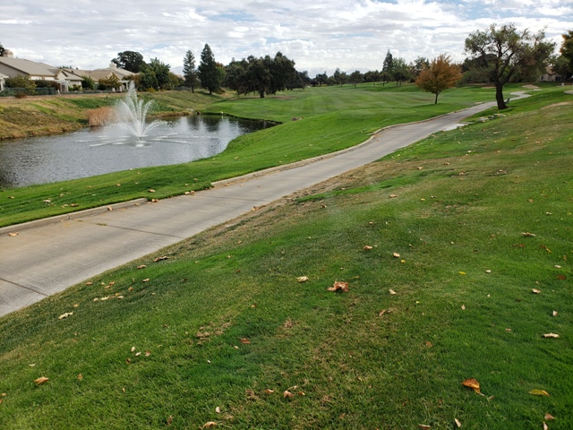 Golf, Tennis, Pools, Bocce, Pickle Ball, Etc