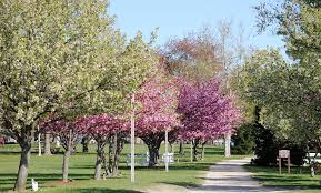 Pennsville Riverview Park