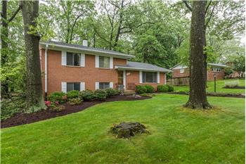 Primary listing photos for listing ID 569886