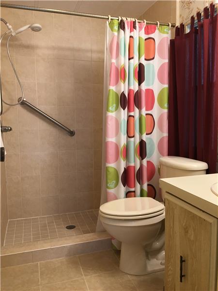 Master Bath Walk in Shower